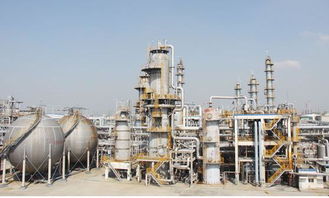 上海第一化工龍頭 氯堿化工 600618 年報凈利翻4倍有望飆漲