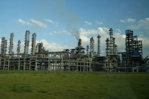 化工實踐 肩負使命,勇闖未來 化工學(xué)院長三角石化行業(yè)智能制造和一體化發(fā)展的調(diào)研