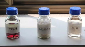 厲害了 磁縣這兩家企業在首屆中國國際進口博覽會上率先簽約成功