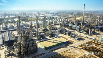 山東去年1487家化工企業因安全評級被關閉