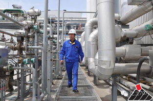 選專業的日子到了 你當時咋就選了化工