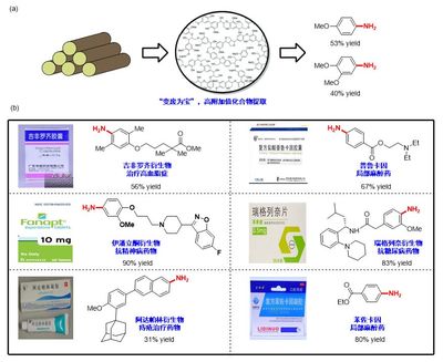 北京大學(xué)在大宗化學(xué)原料利用方面取得新突破