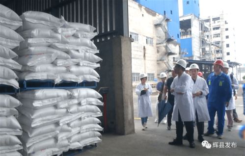 輝縣3家單位環保整改不力被通報 國家應急管理部深入輝縣檢查 企業