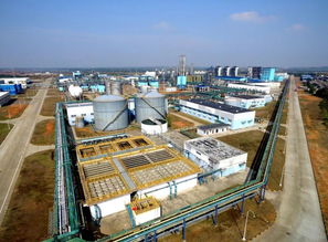 從 一硅獨大 到 多點支撐 ,江西日報點贊永修