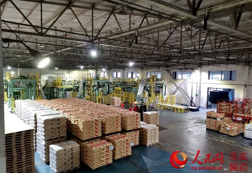 國內(nèi)首套防塵防爆pva套膜線投入使用